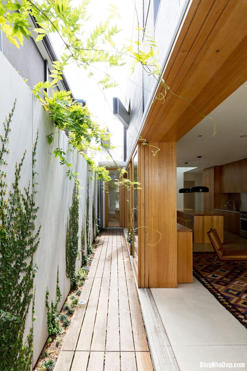 Bondi House – Ngôi nhà xinh xắn tại Sydney, Úc