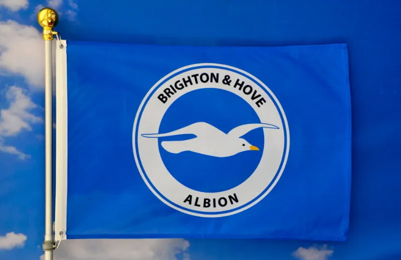 Lịch Sử CLB Brighton Hove Albion – Thành Tích Nổi Bật & Các Huyền Thoại