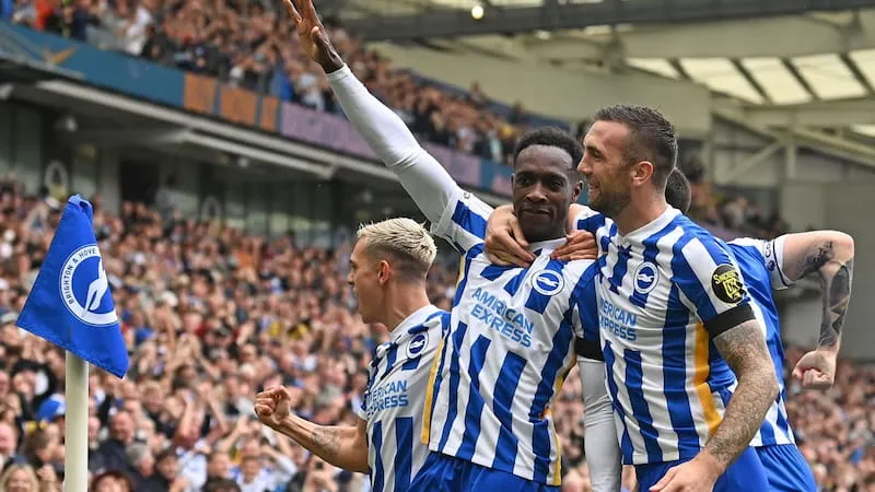 Lịch Sử CLB Brighton Hove Albion – Thành Tích Nổi Bật & Các Huyền Thoại