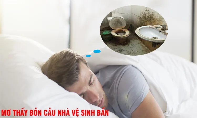 Mơ Thấy Bồn Cầu Là Điềm Báo Gì? Nên Chọn Con Số May Mắn Nào?