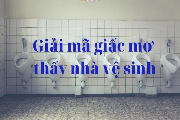 Mơ Thấy Nhà Vệ Sinh Có Ý Nghĩa Gì? Đánh Số Nào Để May Mắn?